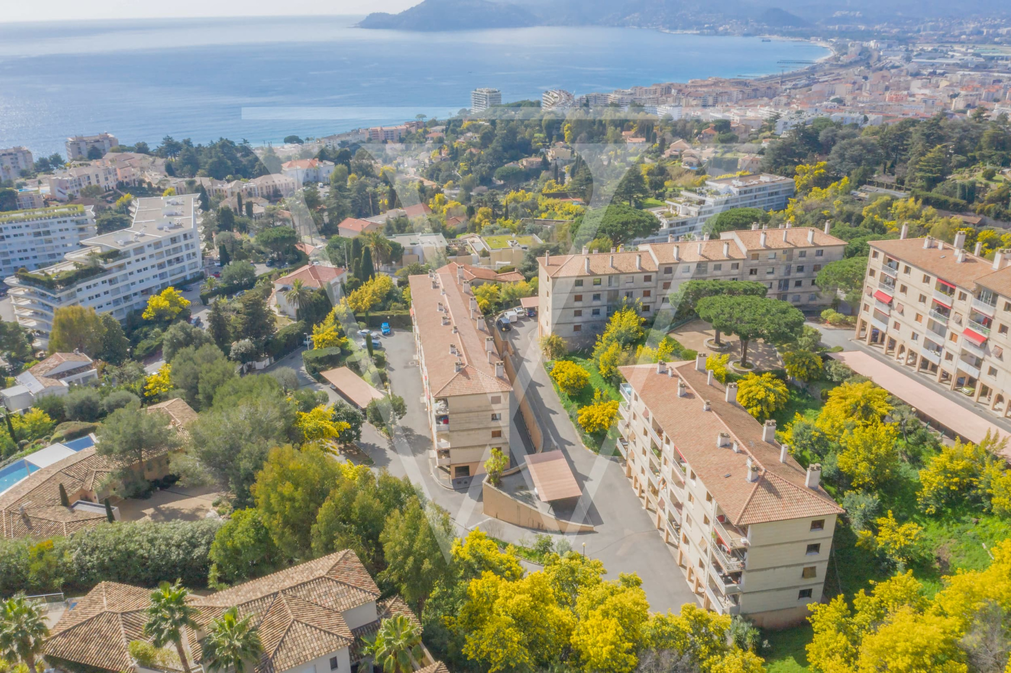 Photo bien immobilier